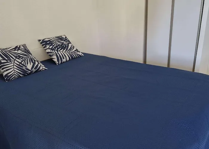 3 Pieces Climatise Avec Terrasse Au Lavandou - Fr-1-308-168 *